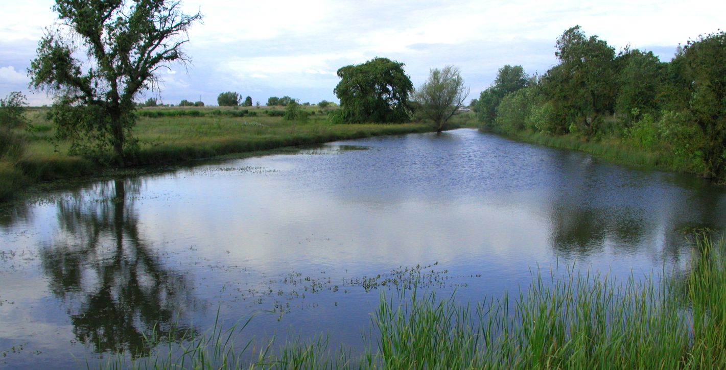 Pembrook at Rio Del Oro