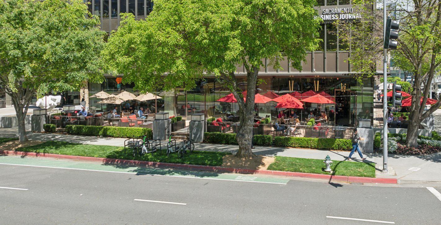 Camden Spit & Larder restaurant