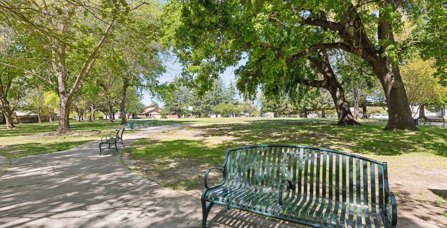 Sacramento Belle Cooledge Park