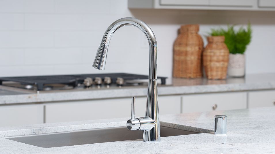 Starling Northpoint EI Kitchen Sink F1