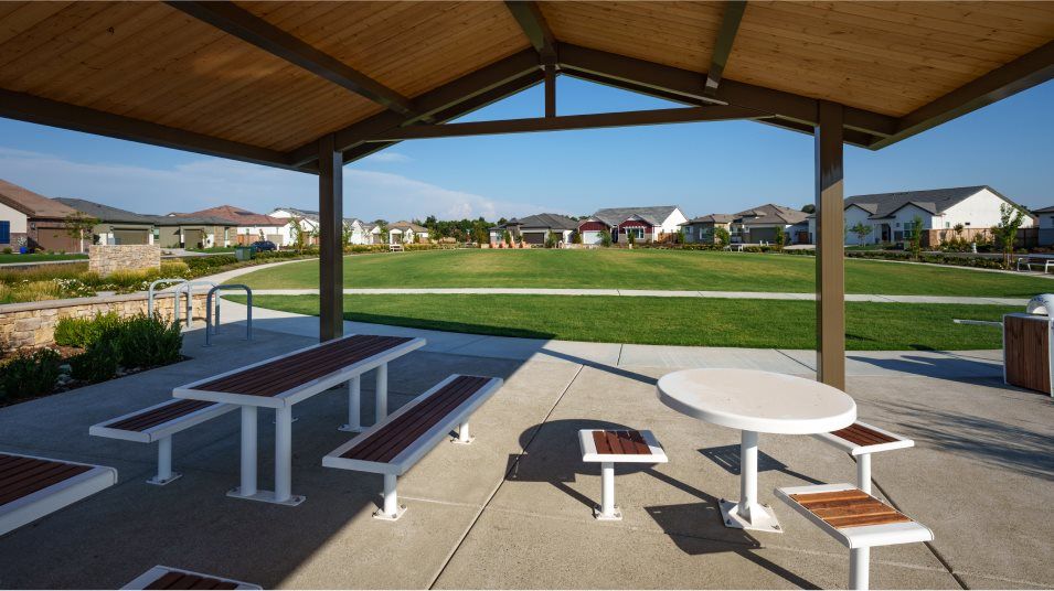 Shaded picnic area in the park