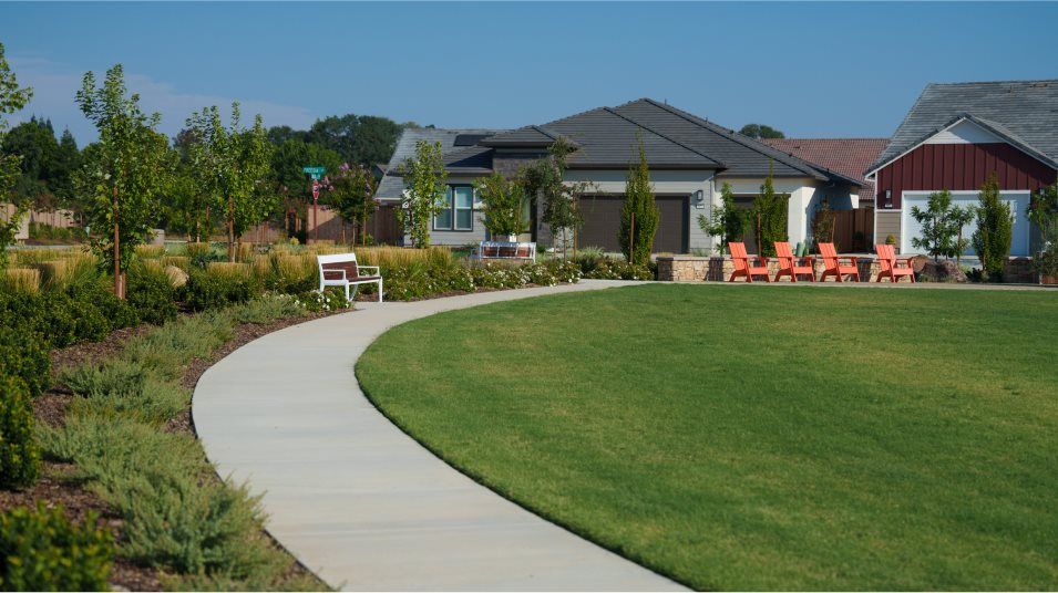 Heritage Placer Vineyard park trail and green space