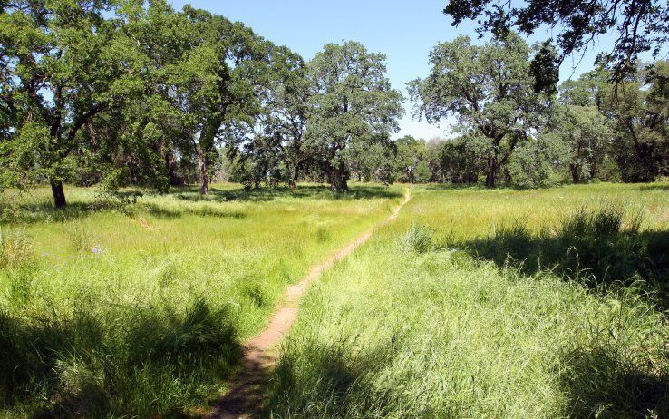 Nearby Mahany Nature Preserve is a popular spot