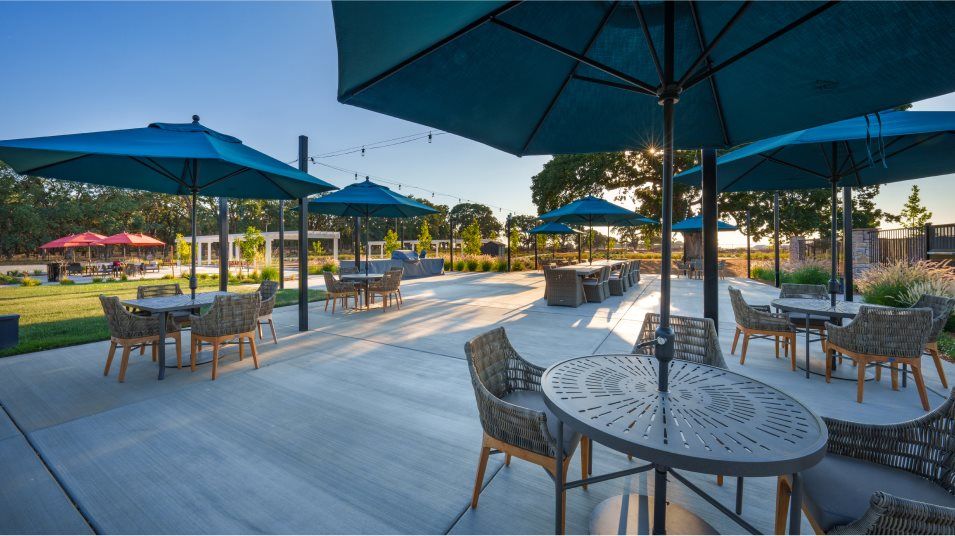Picnic area with benches and umbrellas