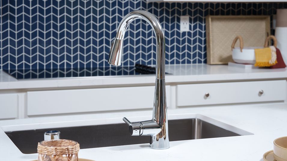 Crestvue EI Kitchen Sink F1