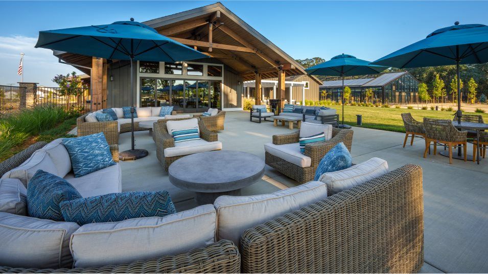 Heritage Placer Vineyard picnic area lounge amenity
