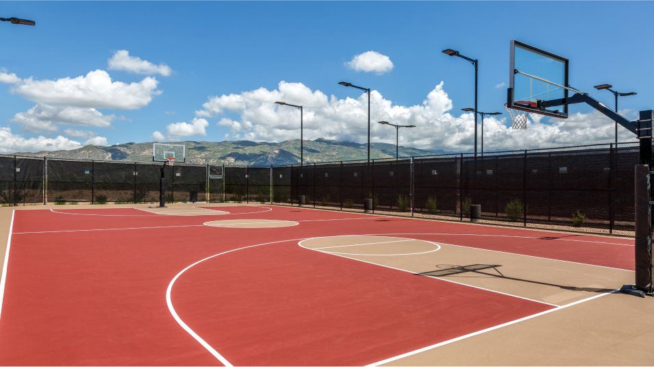 Basketball Court
