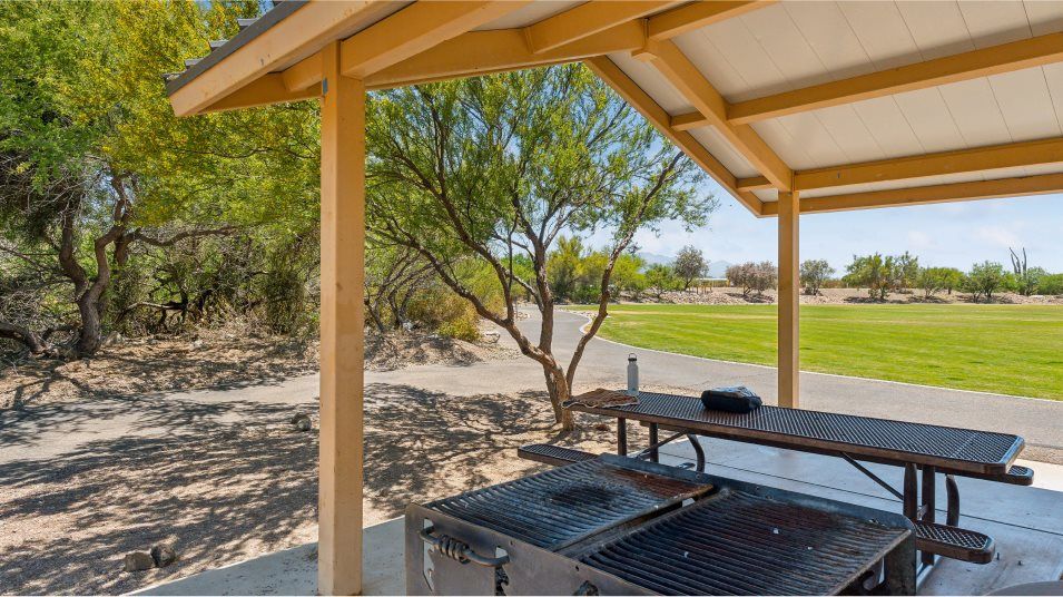 Sycamore Canyon Amenity BBQ Area