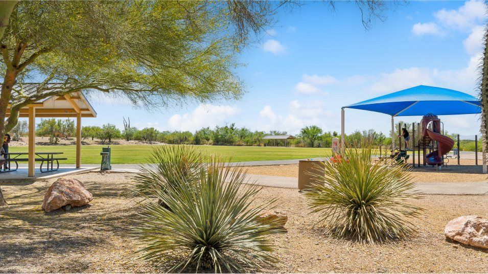 Sycamore Canyon Amenity Park 1of4