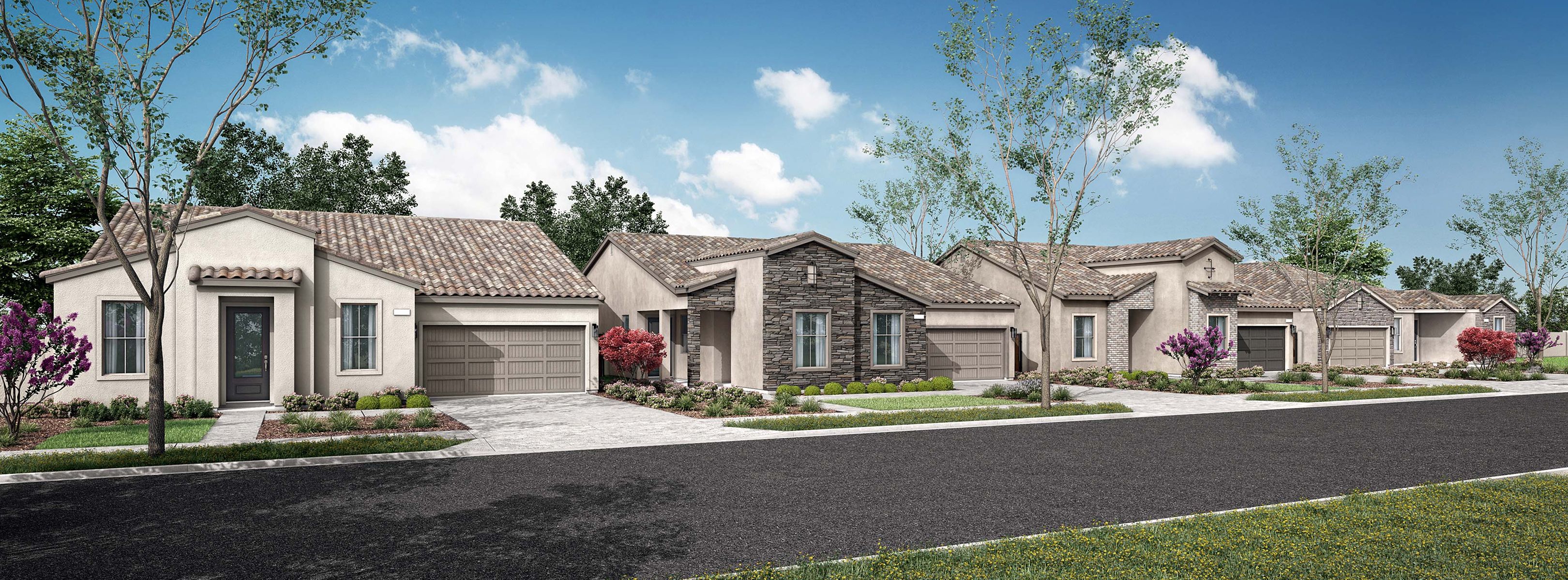 Solana Juniper Hills Streetscape 1