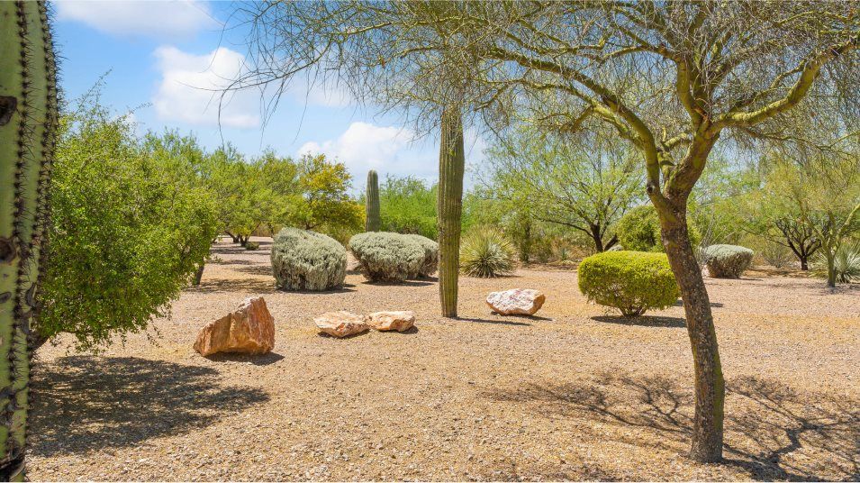 Sycamore Canyon Amenity Park 2of4