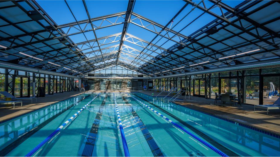 Heritage Placer Vineyards swimming pool