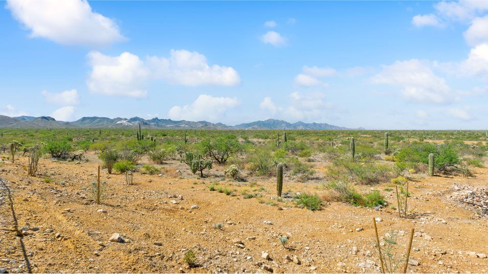 Sycamore Canyon Amenity Park 4of4
