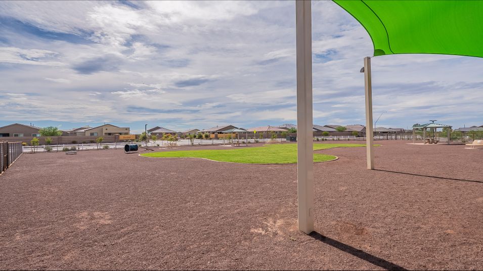 Community Dog Park