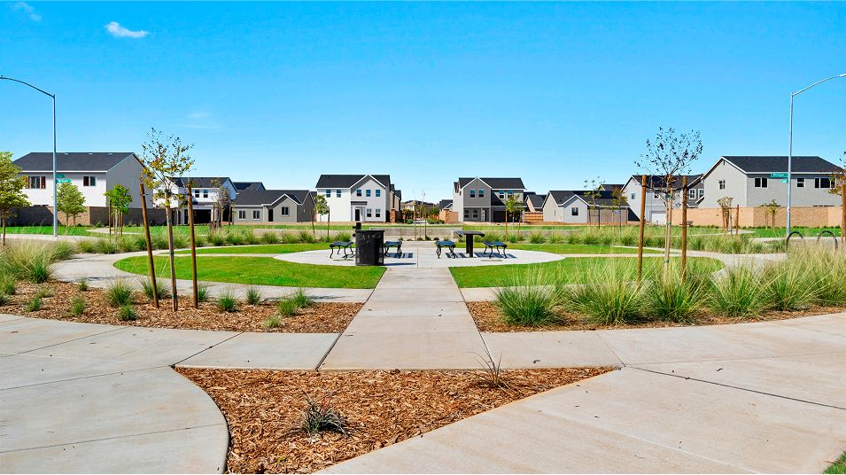 Juniper Hills Amenity Picnic Area 2of16