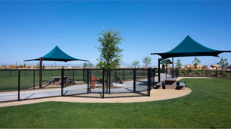 shaded dog park with grass