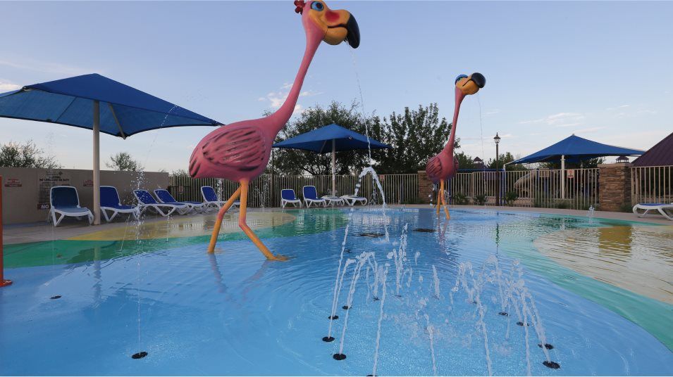 Rancho Sahaurita Swimming Pool