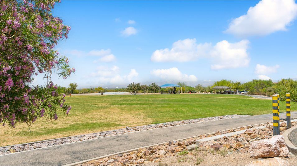 Sycamore Canyon Amenity Trail 1of2