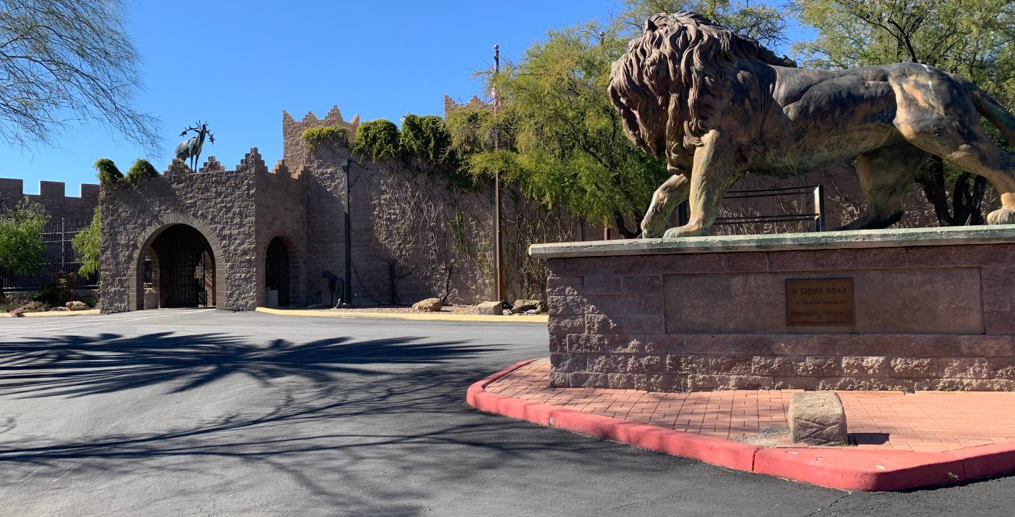 International Wildlife Museum