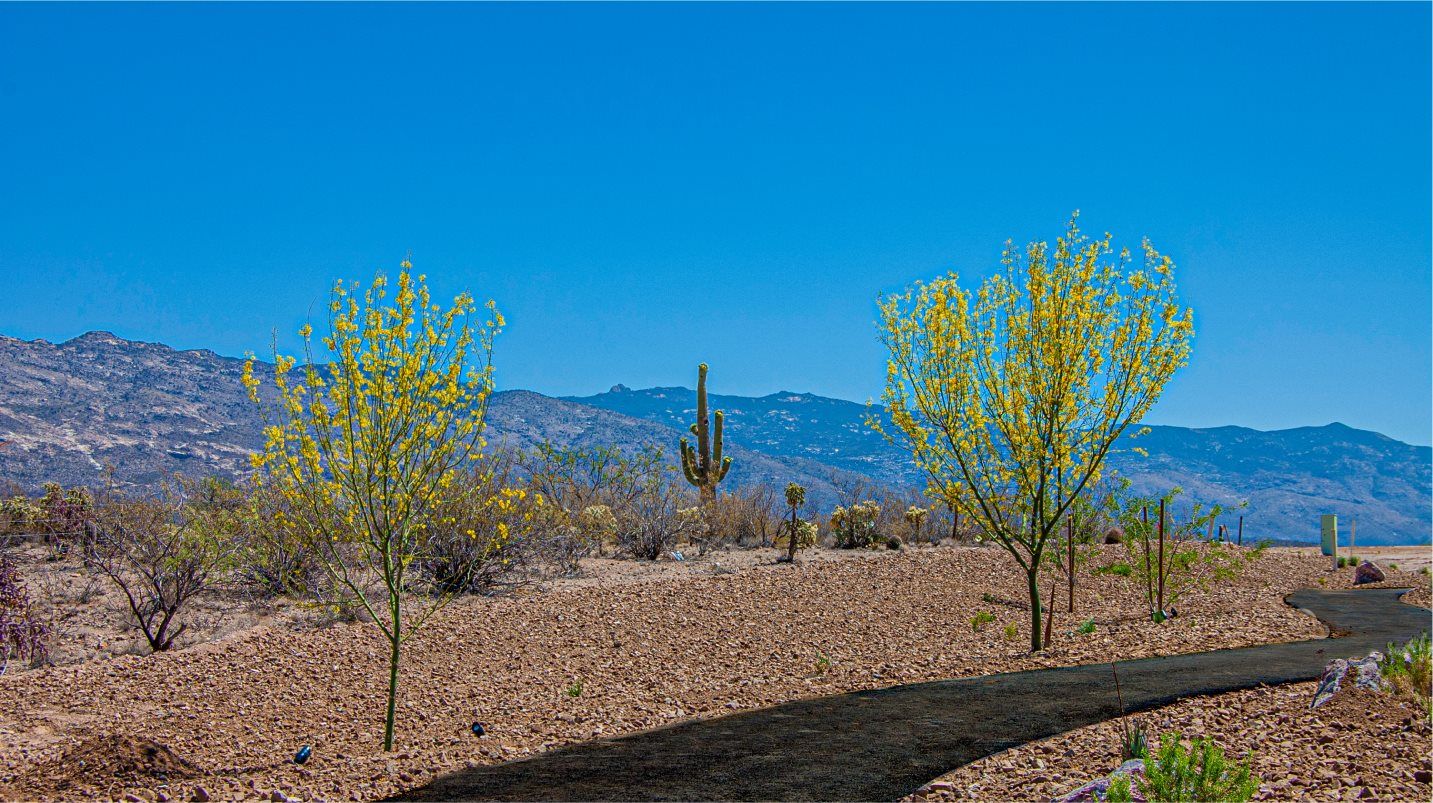 Rocking K Walking Path