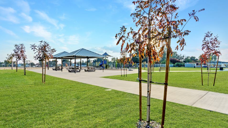 Park amenity with green space trail and playground