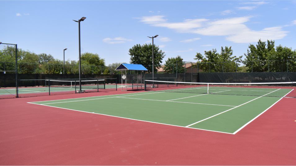 Tennis court