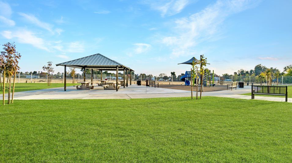 Park amenity with green space trail and playground