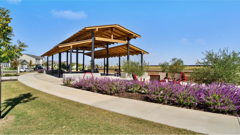Ranch at Heritage Grove picnic area amenity