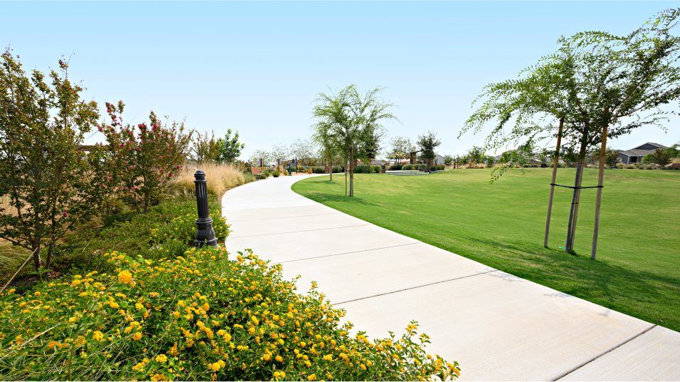 Gossamer Grove Train Park Walkway2