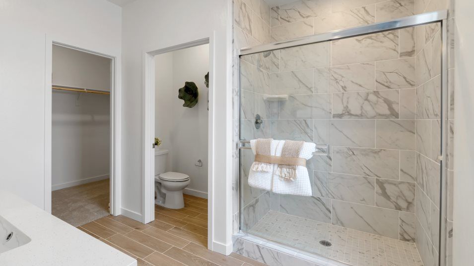 Owners bathroom feature