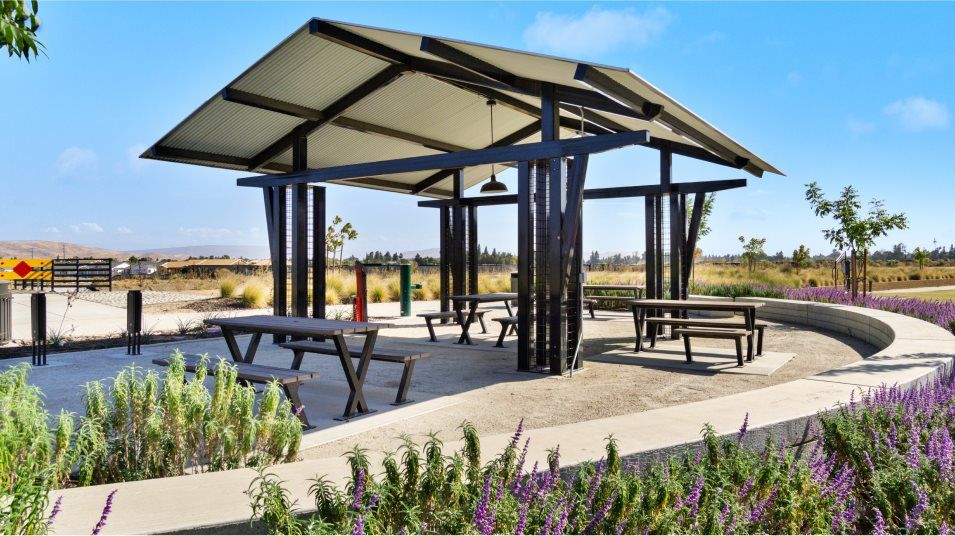 Ranch at Heritage Grove picnic area amenity