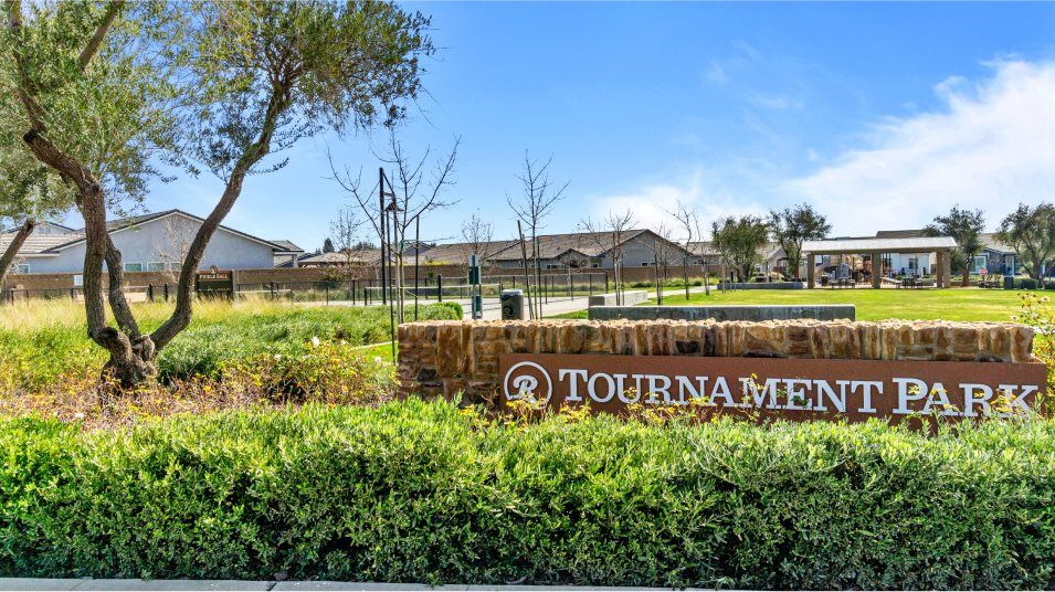 Pickleball court amenity