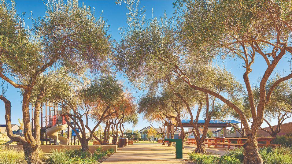 Riverstone Picnic Table