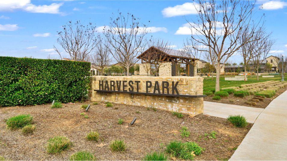 Park amenity