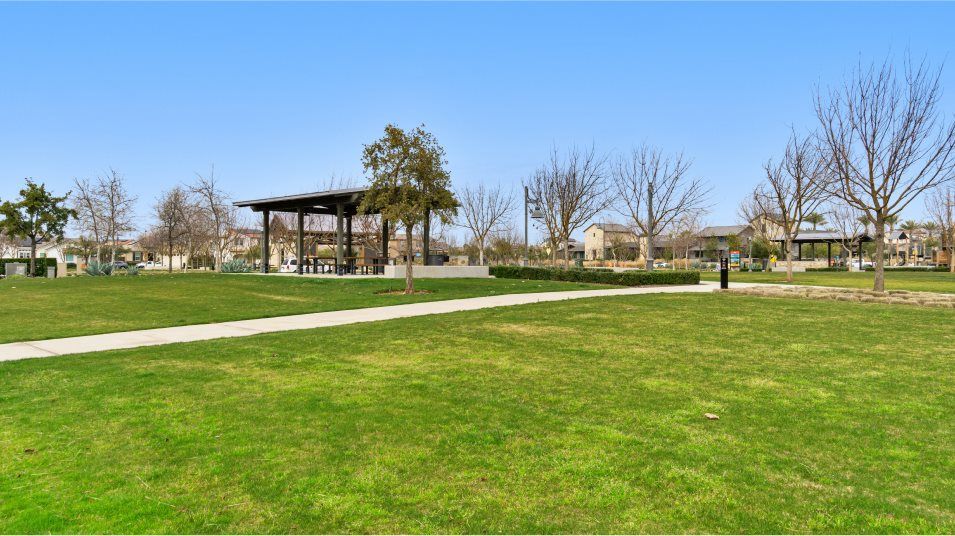 Park amenity