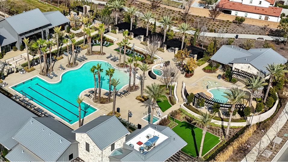 Swimming pool amenity