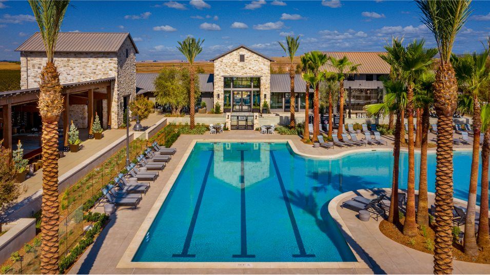 Swimming pool amenity