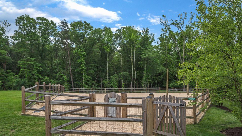 Tanyard Cove North Dog Park Amenity
