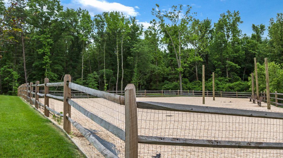 Tanyard Cove North Dog Park Amenity
