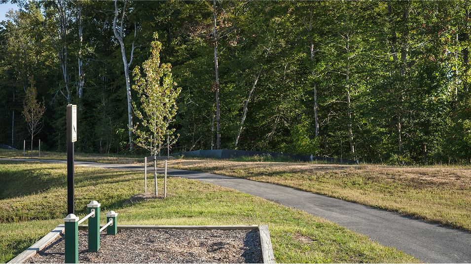 St Charles Amenity Outdoor Gym5