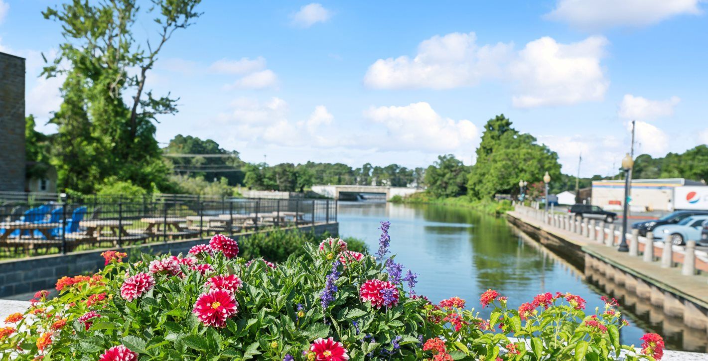 Milton local wildlife along the extensive trail system