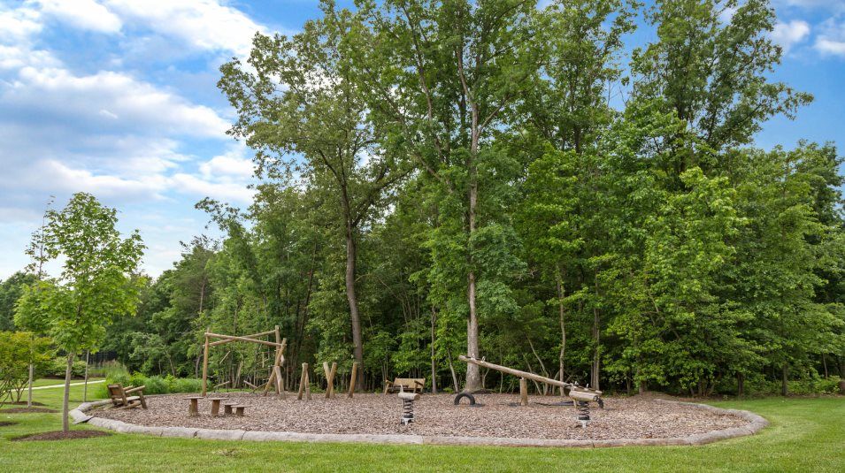 Tanyard Cove North Playground Amenity