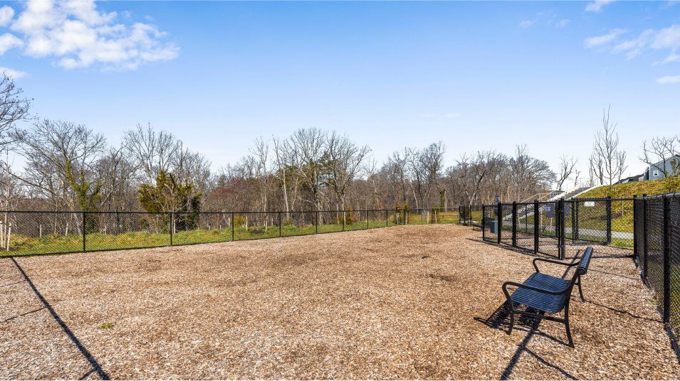 Patapsco Glen Dog Park Amenity