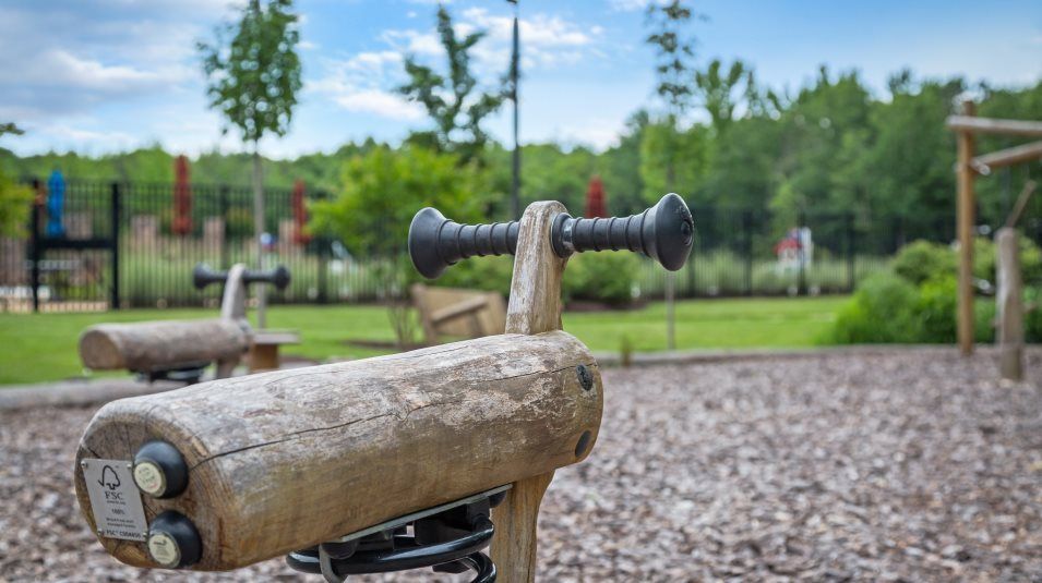 Tanyard Cove North Playground Amenity