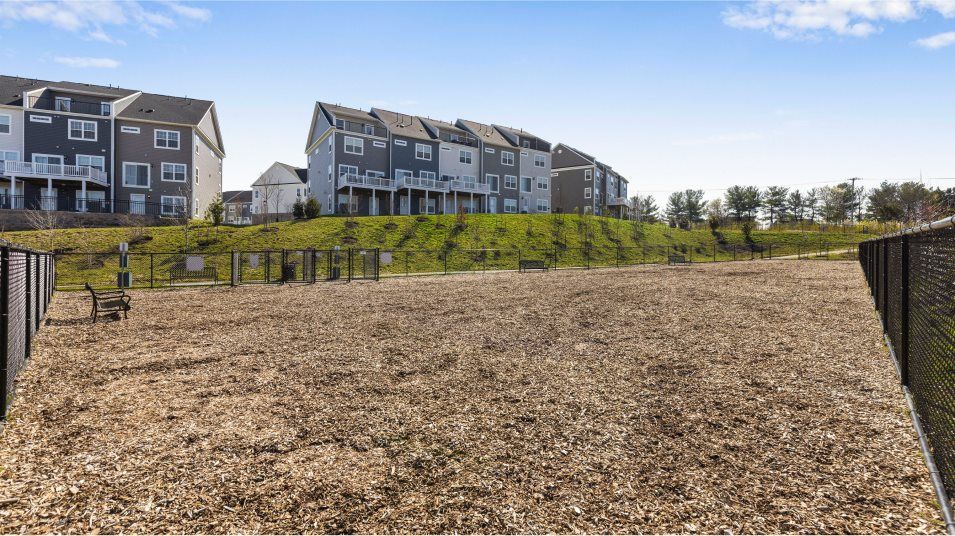 Patapsco Glen Dog Park Amenity