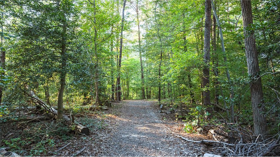 St Charles Amenity Walking Trails3