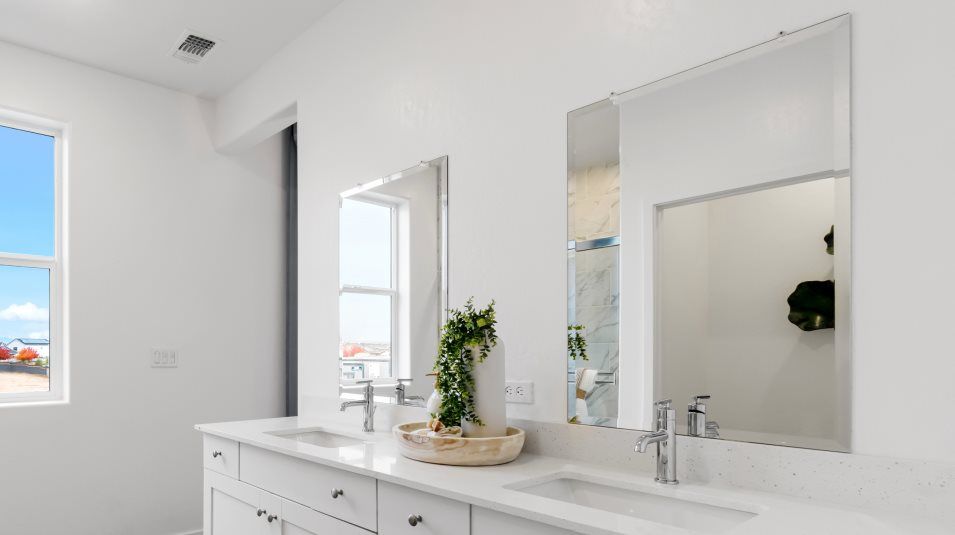 Owners bath vanity feature