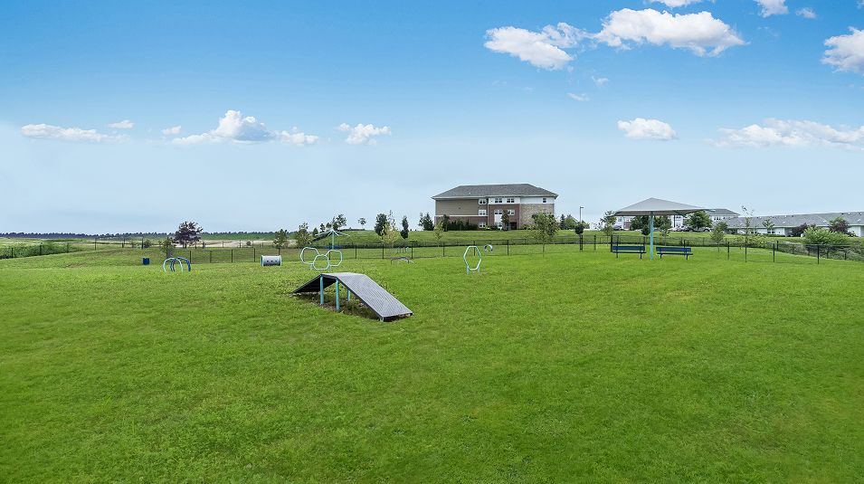 Regency Square Dog Park 1of2 081825