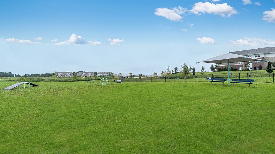 Regency Square Dog Park 2of2 081825