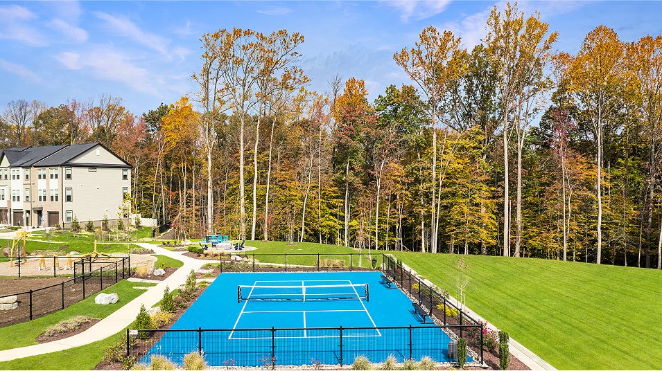 Watershed AA Amenity Pickle Ball 1of4